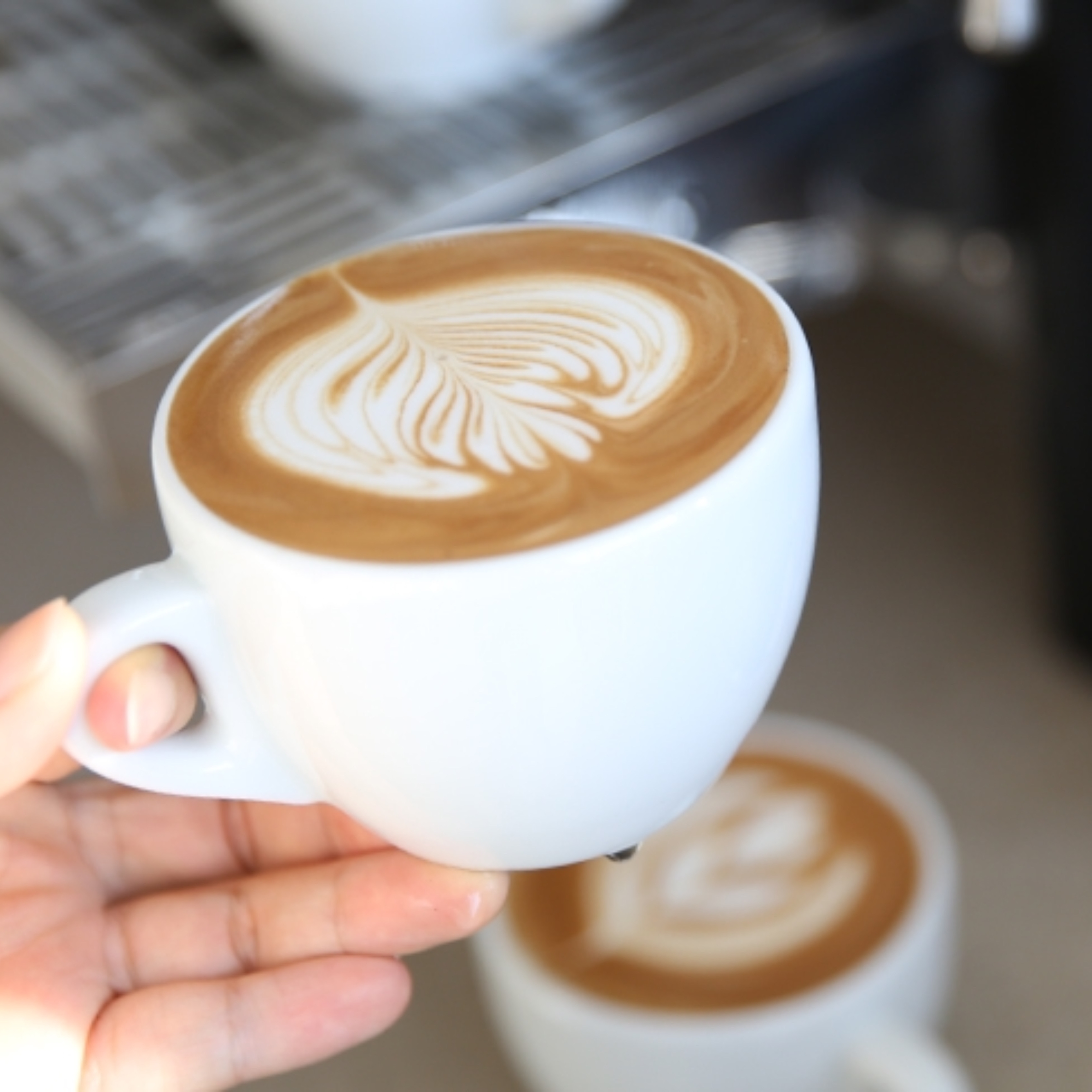ANCAP Verona Porselen Cappuccino Fincan ve Tabak 6’lı Takımı - 180 ml - 6’lı Set